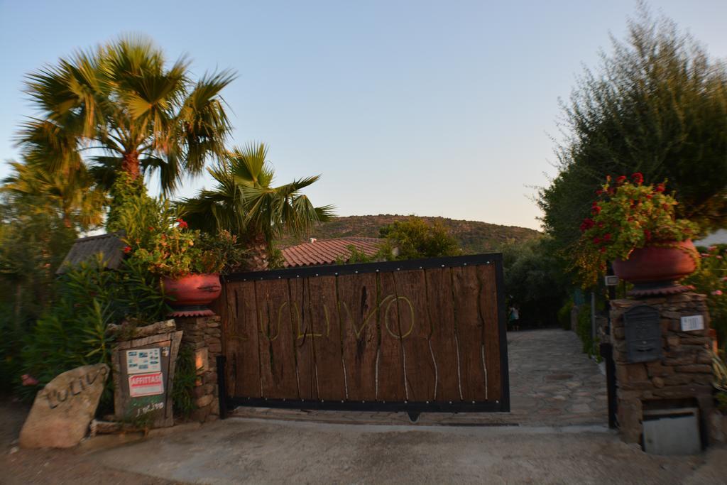 Residence L'Ulivo Budoni Dış mekan fotoğraf
