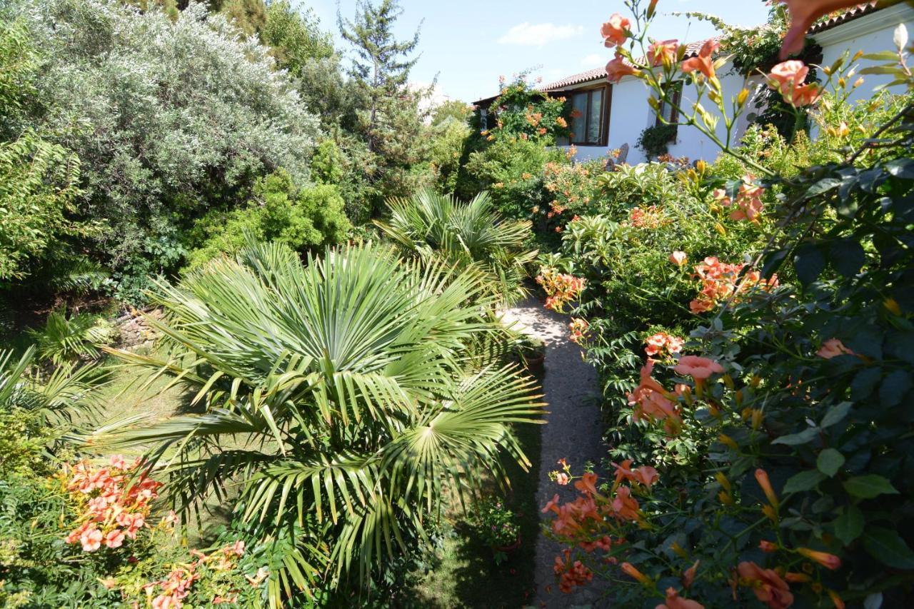 Residence L'Ulivo Budoni Dış mekan fotoğraf