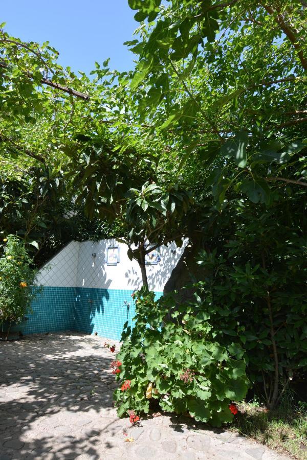 Residence L'Ulivo Budoni Dış mekan fotoğraf