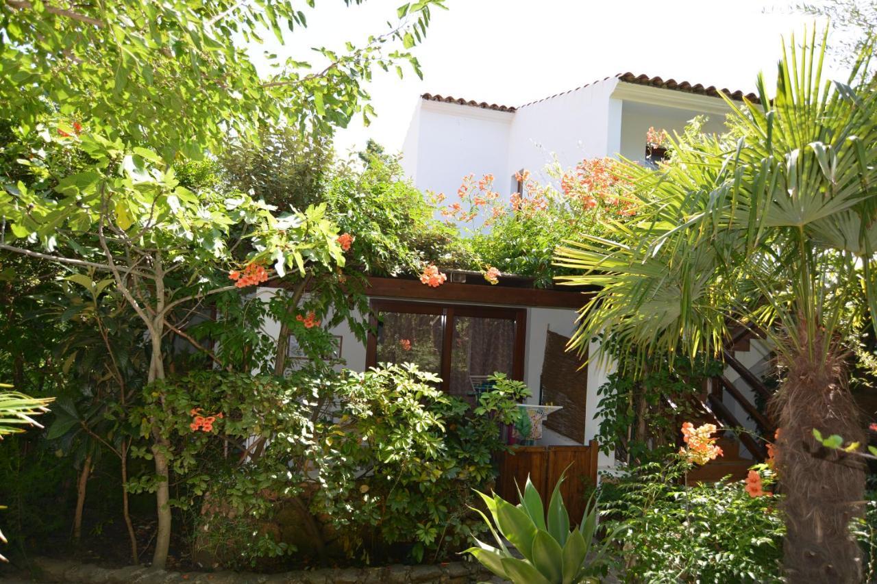 Residence L'Ulivo Budoni Dış mekan fotoğraf